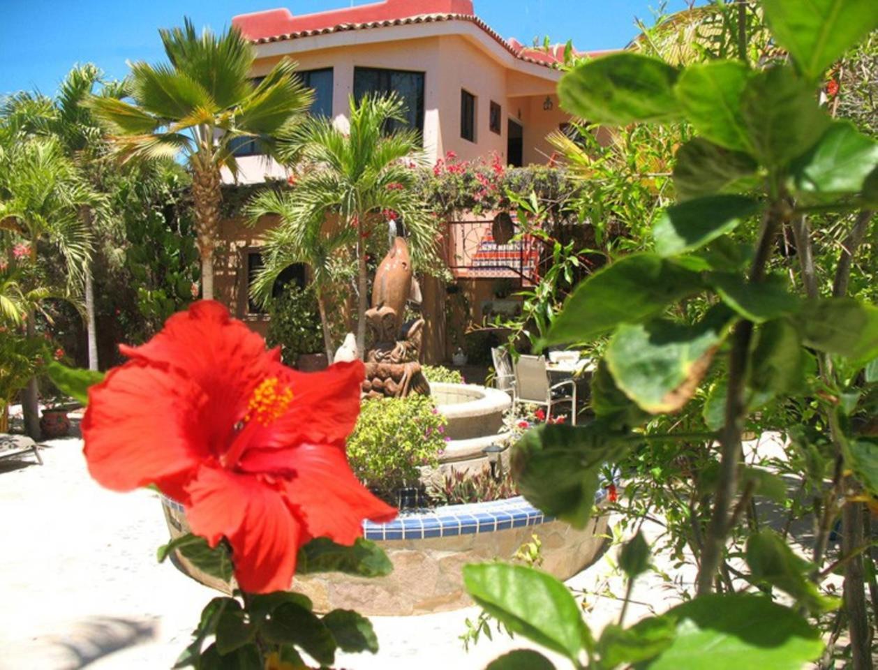Hacienda De Palmas Bed & Breakfast La Ribera Exterior foto